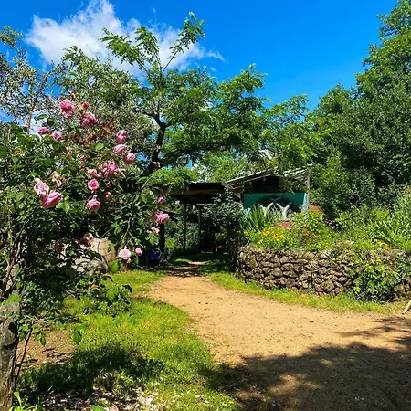 Dortoir Dans La Nature