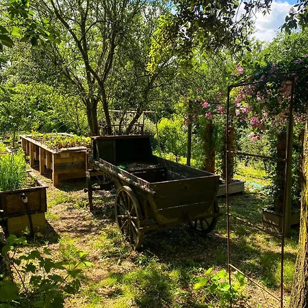호스텔 Dortoir Dans La Nature