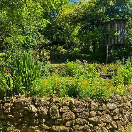 Dortoir Dans La Nature